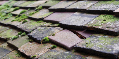 Furnace roof repair costs